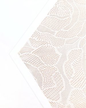 CrossOver Lace Brief